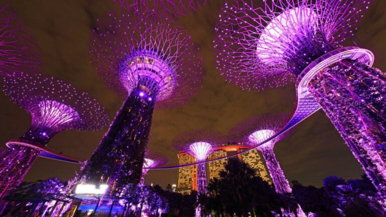 The Supertree Grove, Singapore