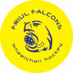 Friul Falcons UD